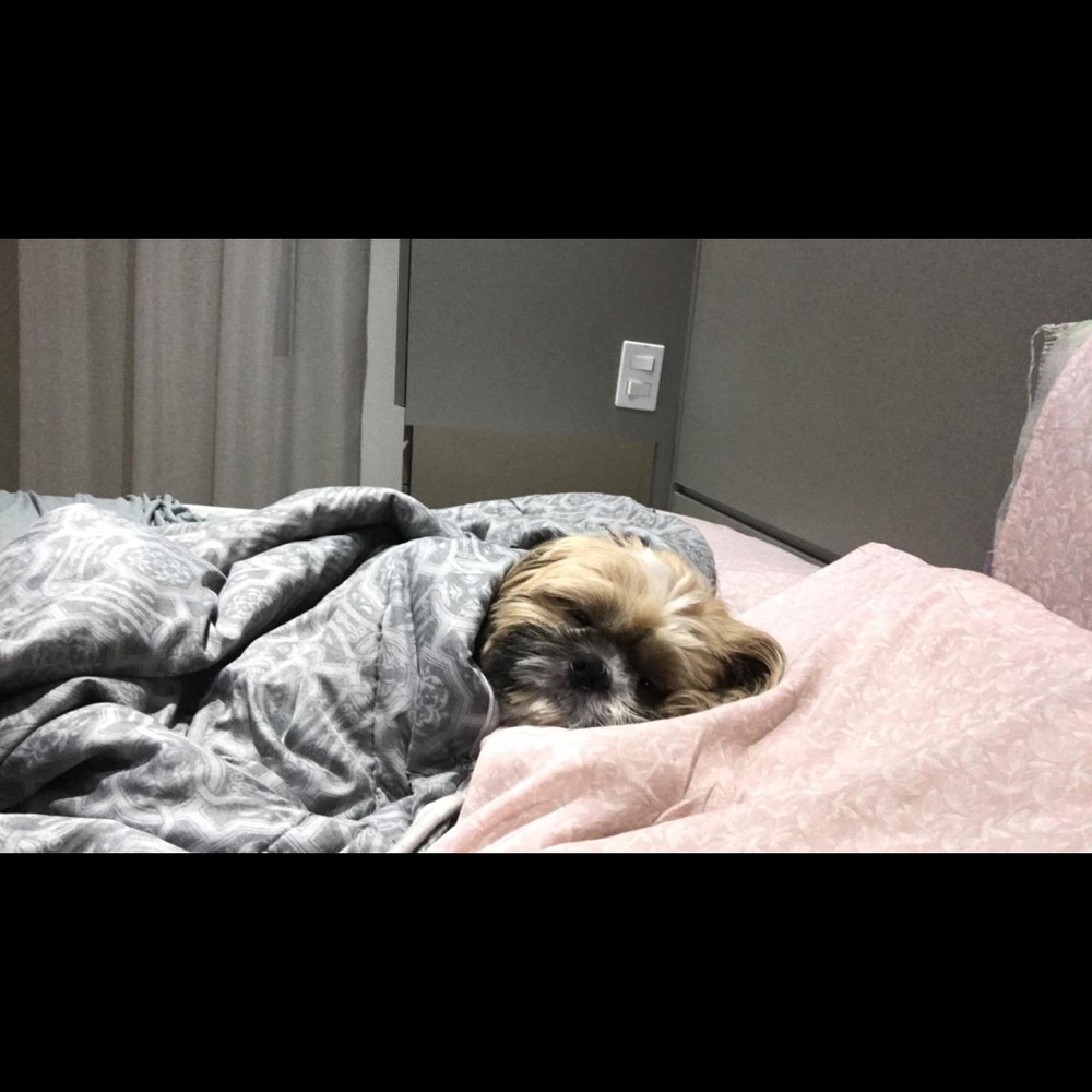 Meet your Posher, Kj